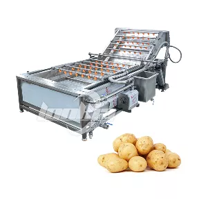 Potato Washing Machine