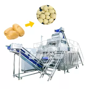Steam Peeling Machine