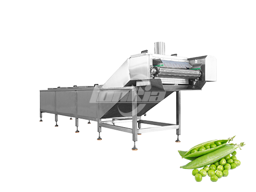 Continuous Blanching Machine