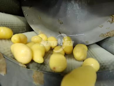 Spiral Brush Roller Peeling Machine