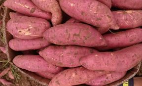 sweet potato