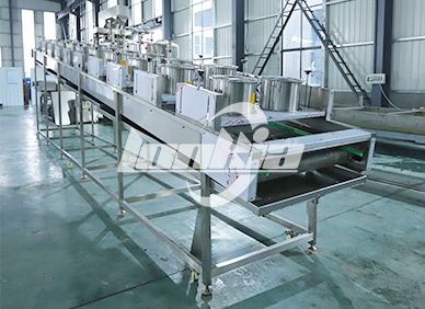 Onion continuous frying line Product Photograph