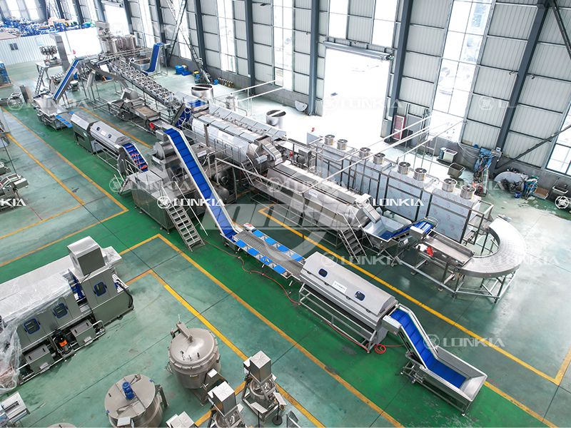 French Fries Production Line