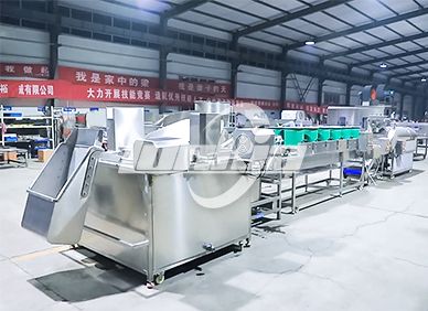 Onion continuous frying line Product Photograph