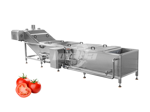 Continuous Blanching Machine