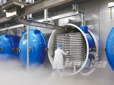 Freeze Dryers Machine