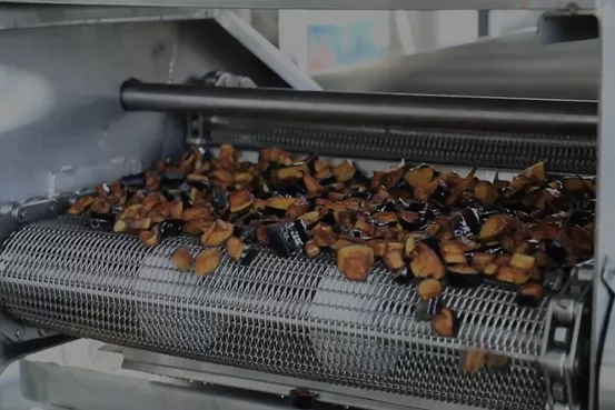 Continuous Frying Machine Video