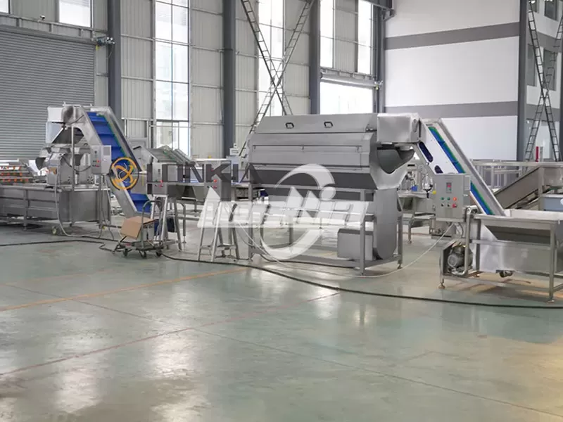 Potato Chip Production Line Equipment