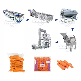 Fully Automatic Carrot Processing Line