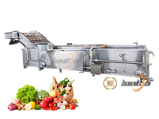 Commercial Fruit and Vegetable Bubble Washing Machine - LONKIA Potato Line