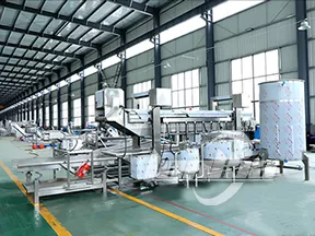 Continuous Fryer Machine