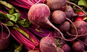 beet