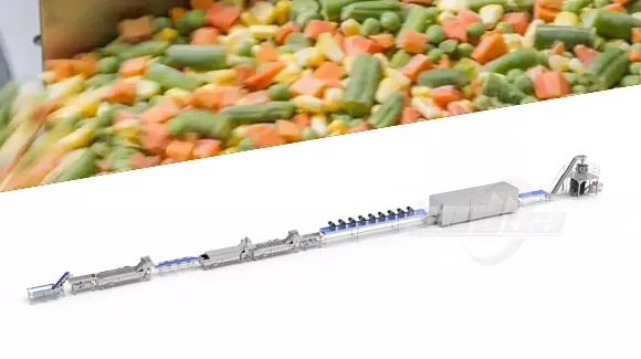 Quick-Frozen Vegetable Processing Line