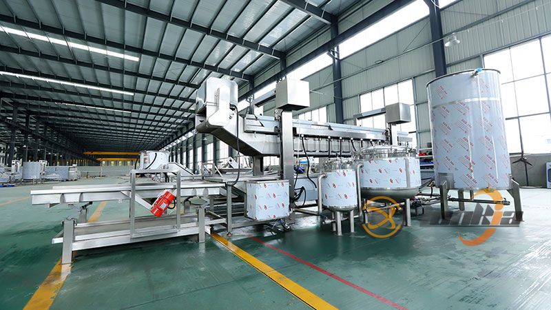 Continuous Frying Machine