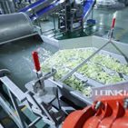 Vortex Vegetable Washing Machine