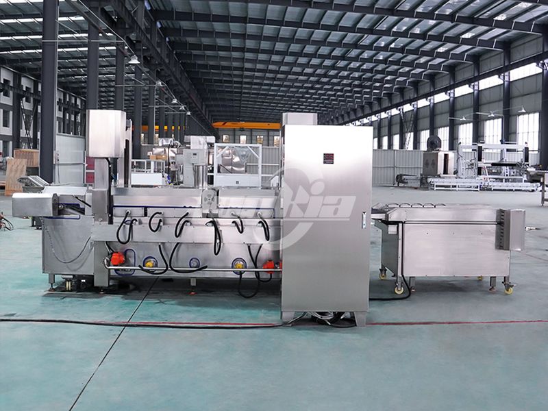 Applications of Continuous Frying Machines in the Food Industry