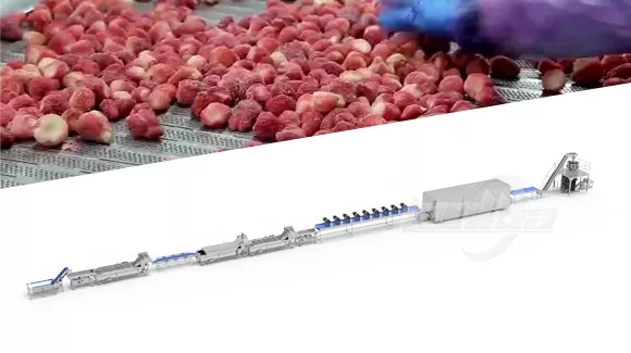 Quick-Frozen Fruit Processing Line