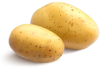 Start Your Potato Processing Project Today