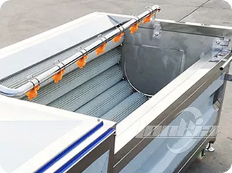 Brush Roller Peeling Machine for Root Vegetables Gallery