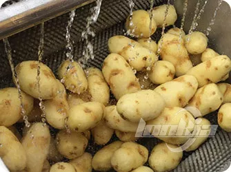 Brush Roller Peeling Machine for Root Vegetables Gallery