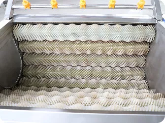 Brush Roller Peeling Machine for Root Vegetables Gallery