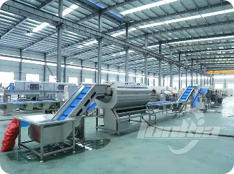 Brush Roller Peeling Machine for Root Vegetables Gallery
