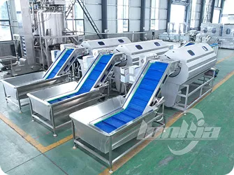 Brush Roller Peeling Machine for Root Vegetables Gallery