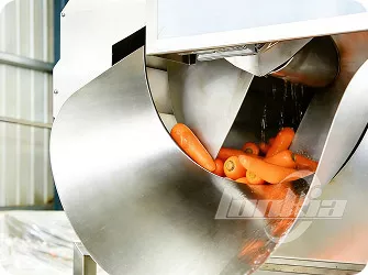 Brush Roller Peeling Machine for Root Vegetables Gallery