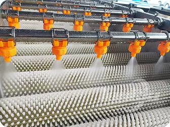 Brush Roller Peeling Machine for Root Vegetables Gallery