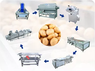 Vegetable Potato Washing Peeling Cutting and Blanching Line