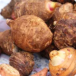Taro