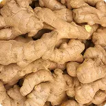 Ginger