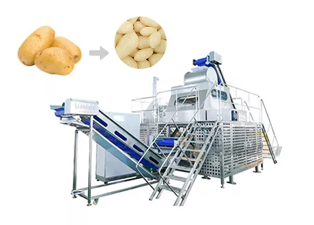 Steam Peeling Machine