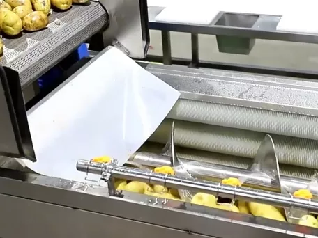 Spiral Brush Roller Peeling Machine Video