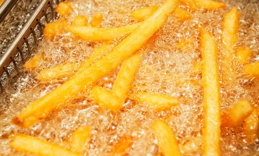 fries