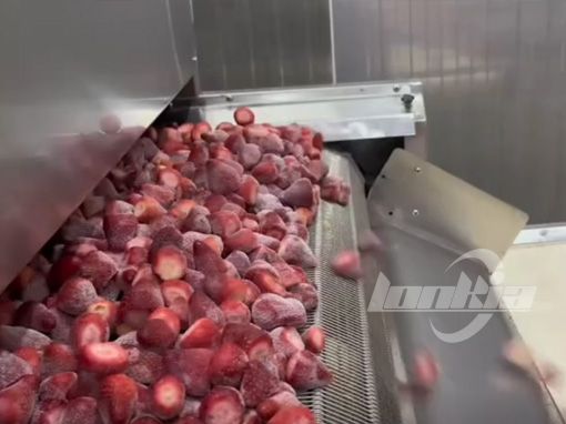 Tunnel freezer