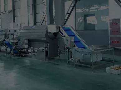 Fresh-cut Potato Processing Line Video