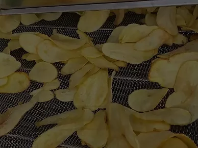 Potato Chips Production Line Video