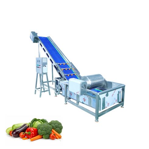 Vegetable washing, cutting, and packaging line