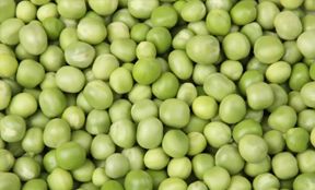 Green peas