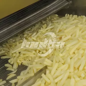Industrial Automatic Frying System