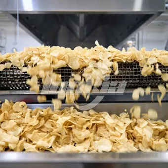 Industrial Automatic Frying System