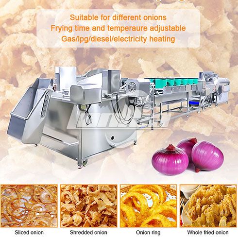 Onion continuous frying line