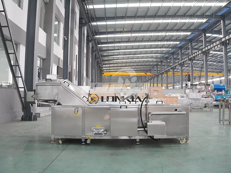 Industrial Blanching Machine