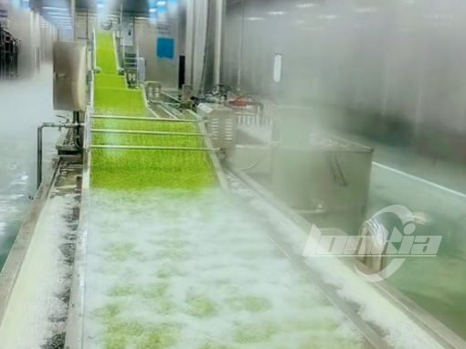 Fluidized Bed Freezer