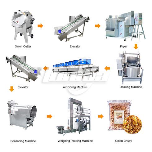 Onion continuous frying line