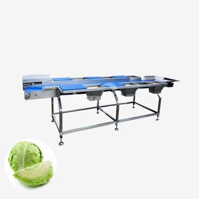 Stainless Steel Sorting Platform