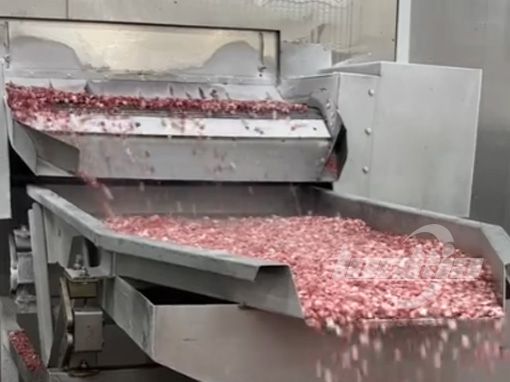 Tunnel freezer
