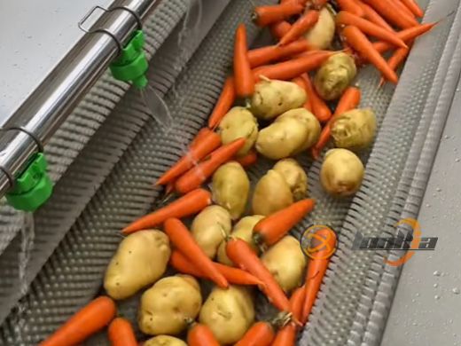 Brush Roller Peeler