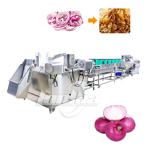 Onion continuous frying line